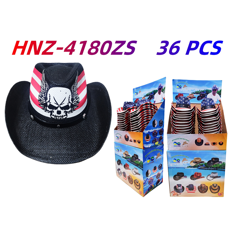 HNZ-4180ZS CS36